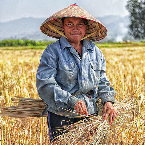 Contact Agrobiz Traders
