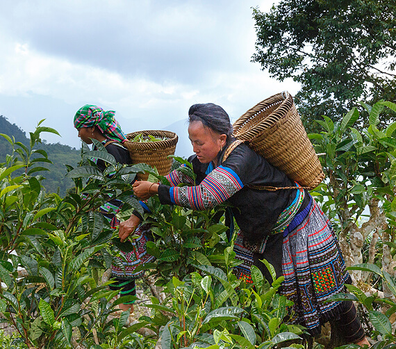 Agrobiz Sustainable Farming
